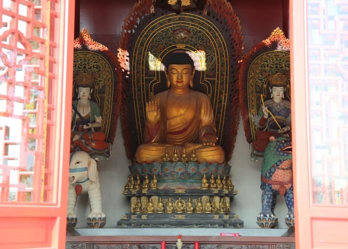 Temple Bouddhiste - Pairi Daiza